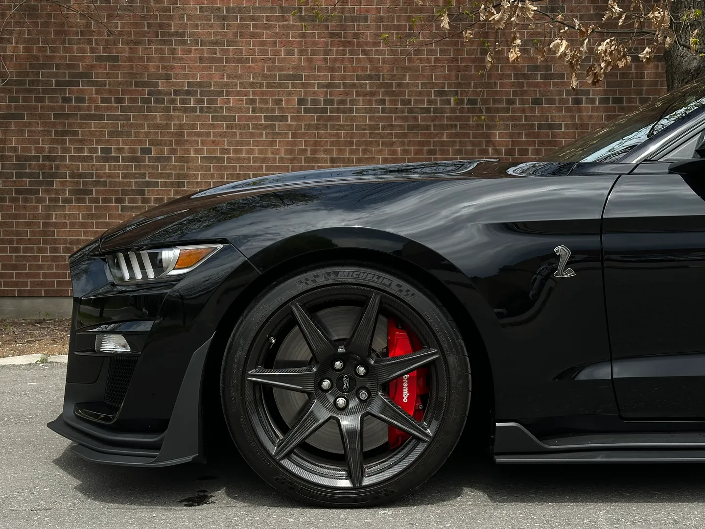 Ford Mustang Shelby GT500 Carbon Track Package — photo 15