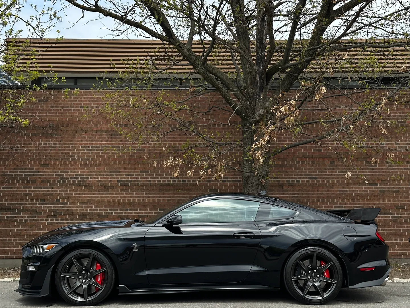 Ford Mustang Shelby GT500 Carbon Track Package — photo 14
