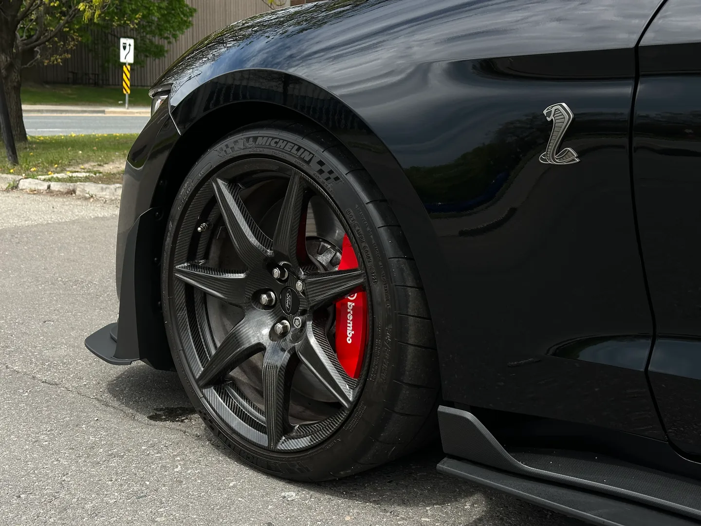 Ford Mustang Shelby GT500 Carbon Track Package — photo 17