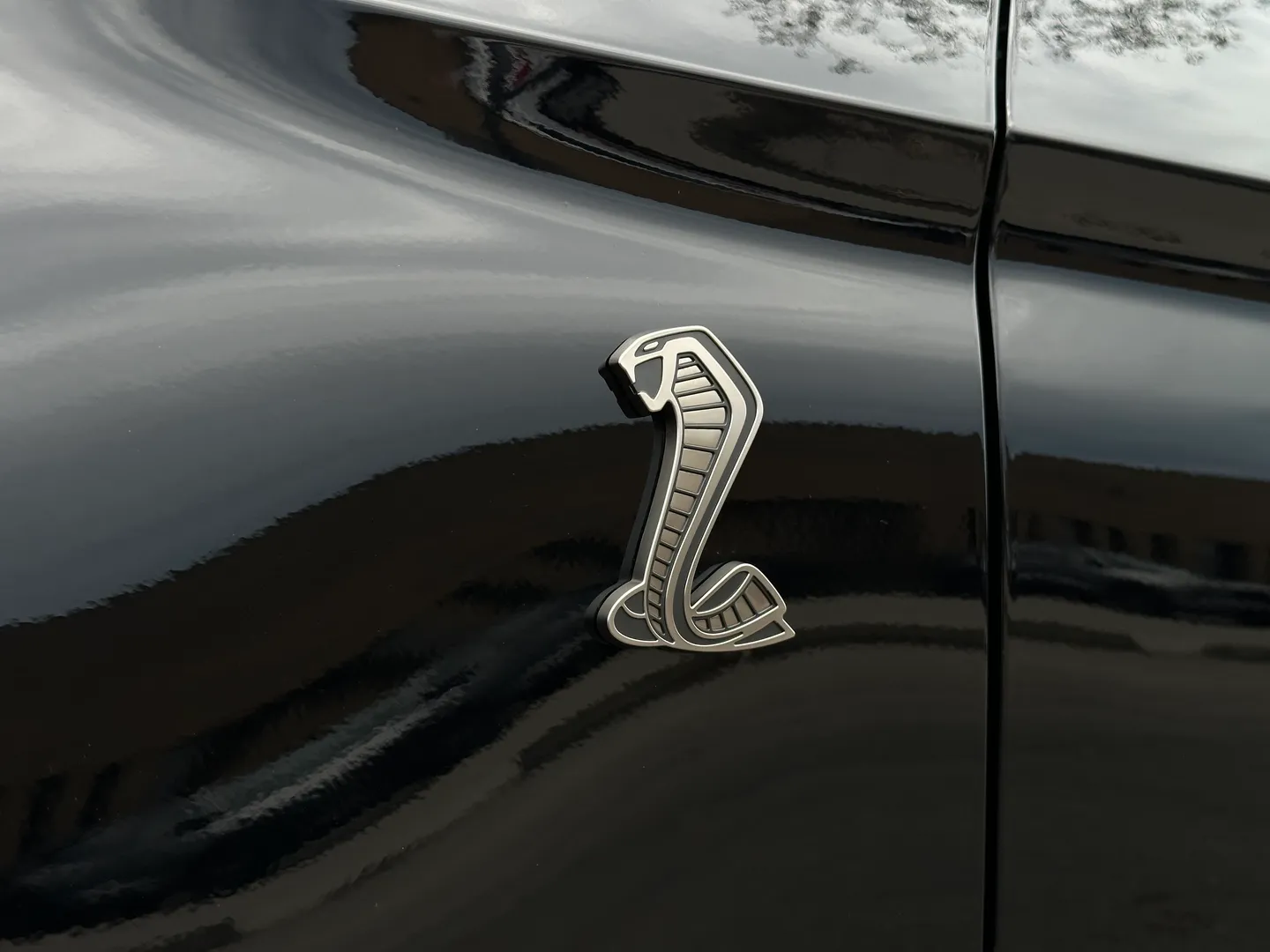 Ford Mustang Shelby GT500 Carbon Track Package — photo 20