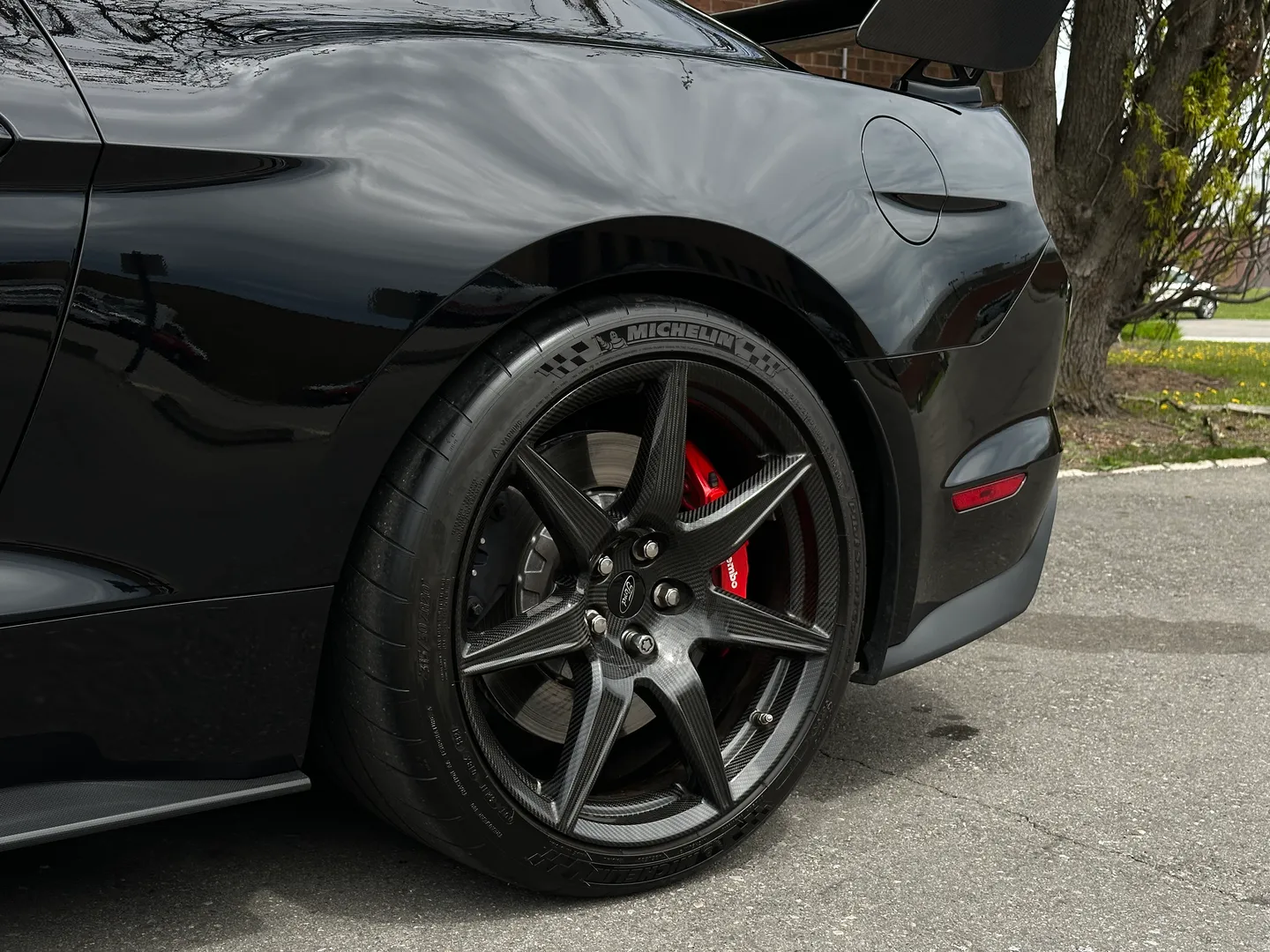 Ford Mustang Shelby GT500 Carbon Track Package — photo 18