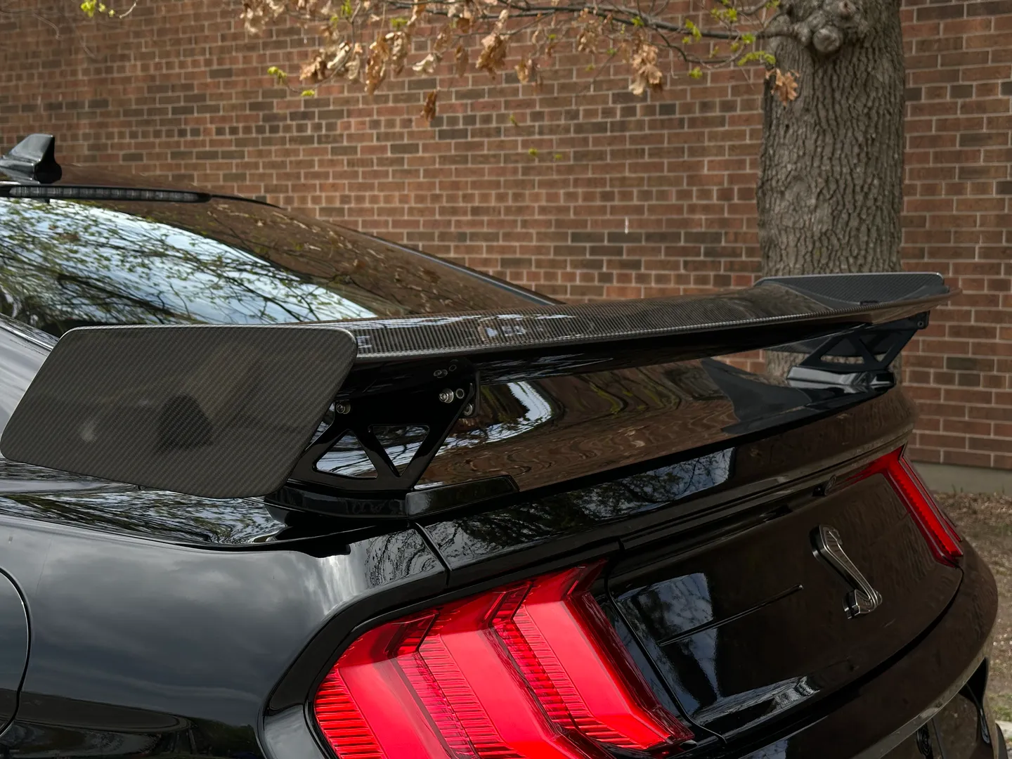 Ford Mustang Shelby GT500 Carbon Track Package — photo 29