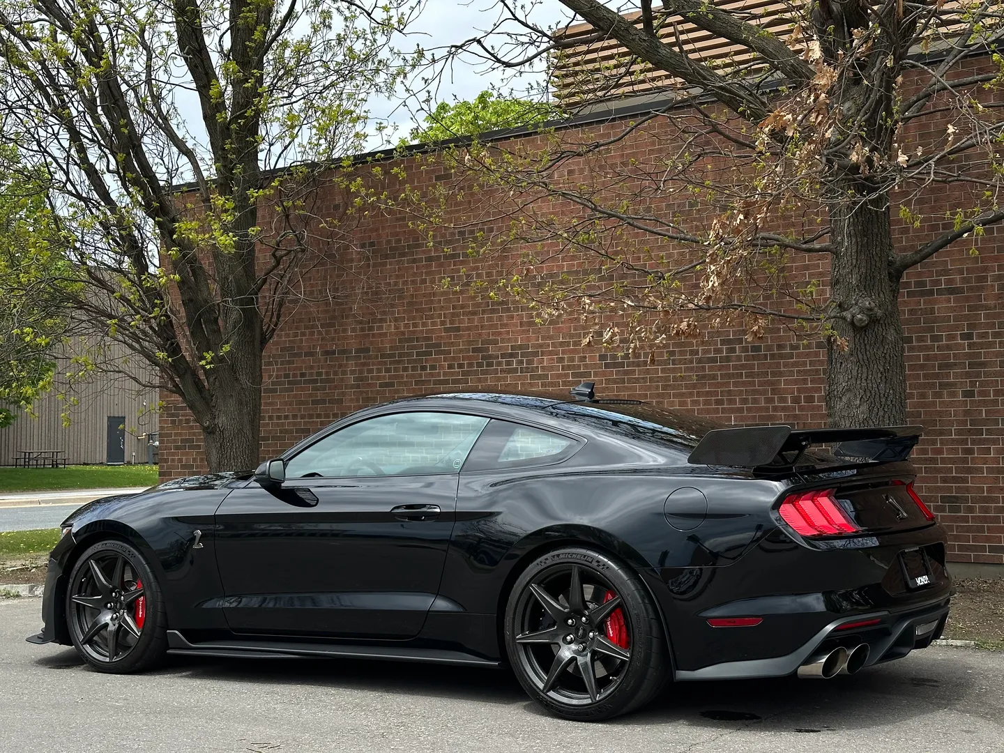 Ford Mustang Shelby GT500 Carbon Track Package — photo 31