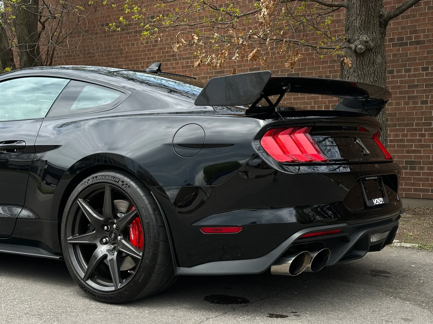 Ford Mustang Shelby GT500 Carbon Track Package — photo 32
