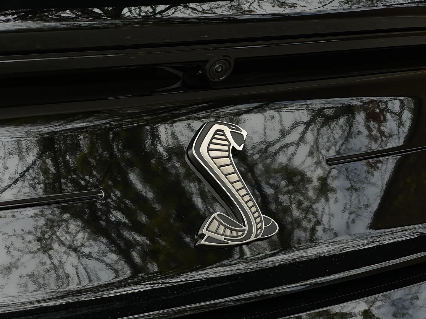 Ford Mustang Shelby GT500 Carbon Track Package — photo 37