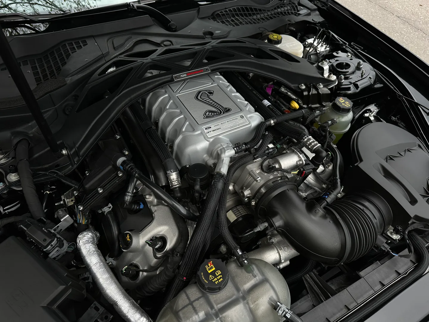 Ford Mustang Shelby GT500 Carbon Track Package — photo 43