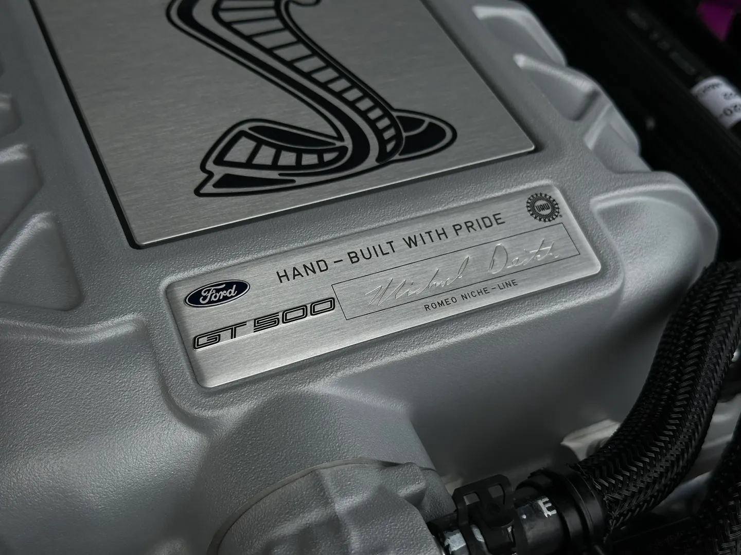 Ford Mustang Shelby GT500 Carbon Track Package — photo 45