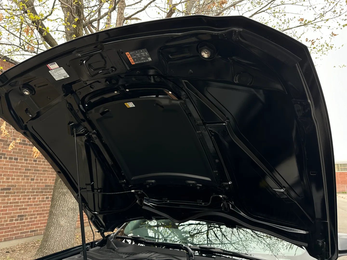 Ford Mustang Shelby GT500 Carbon Track Package — photo 49