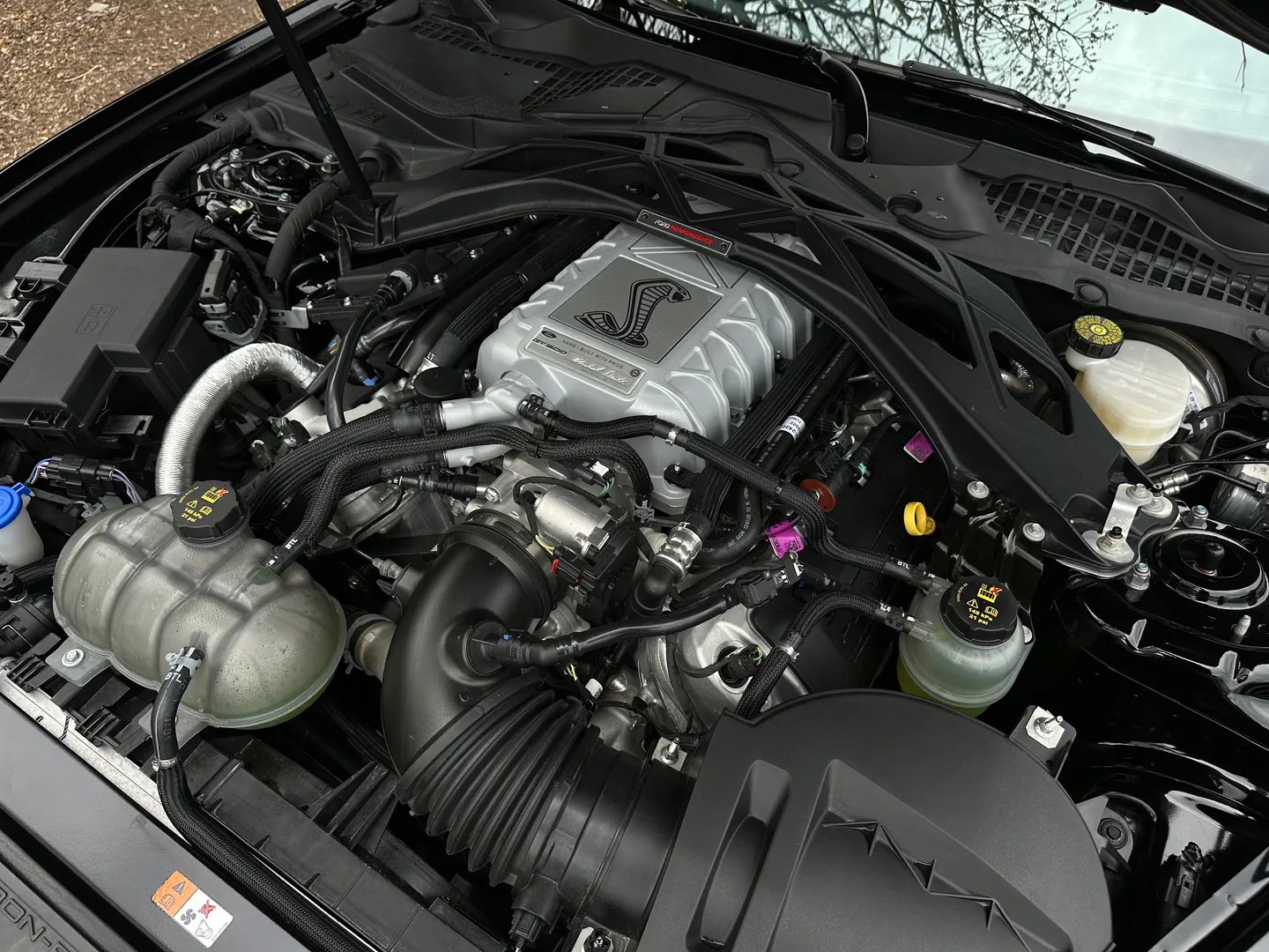 Ford Mustang Shelby GT500 Carbon Track Package — photo 48