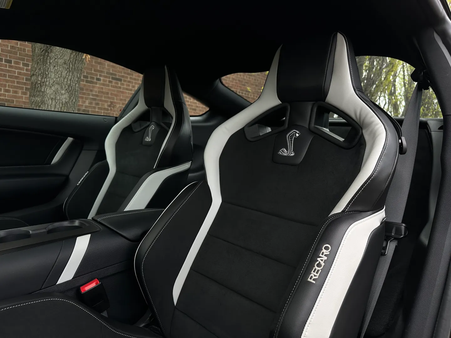 Ford Mustang Shelby GT500 Carbon Track Package — photo 52