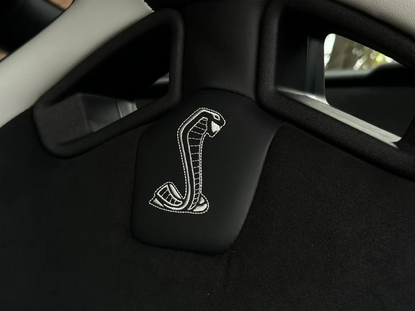 Ford Mustang Shelby GT500 Carbon Track Package — photo 53