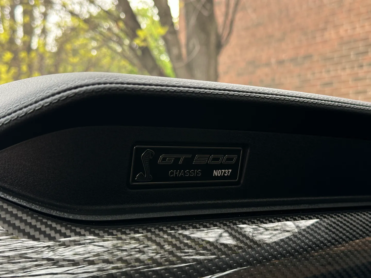 Ford Mustang Shelby GT500 Carbon Track Package — photo 76