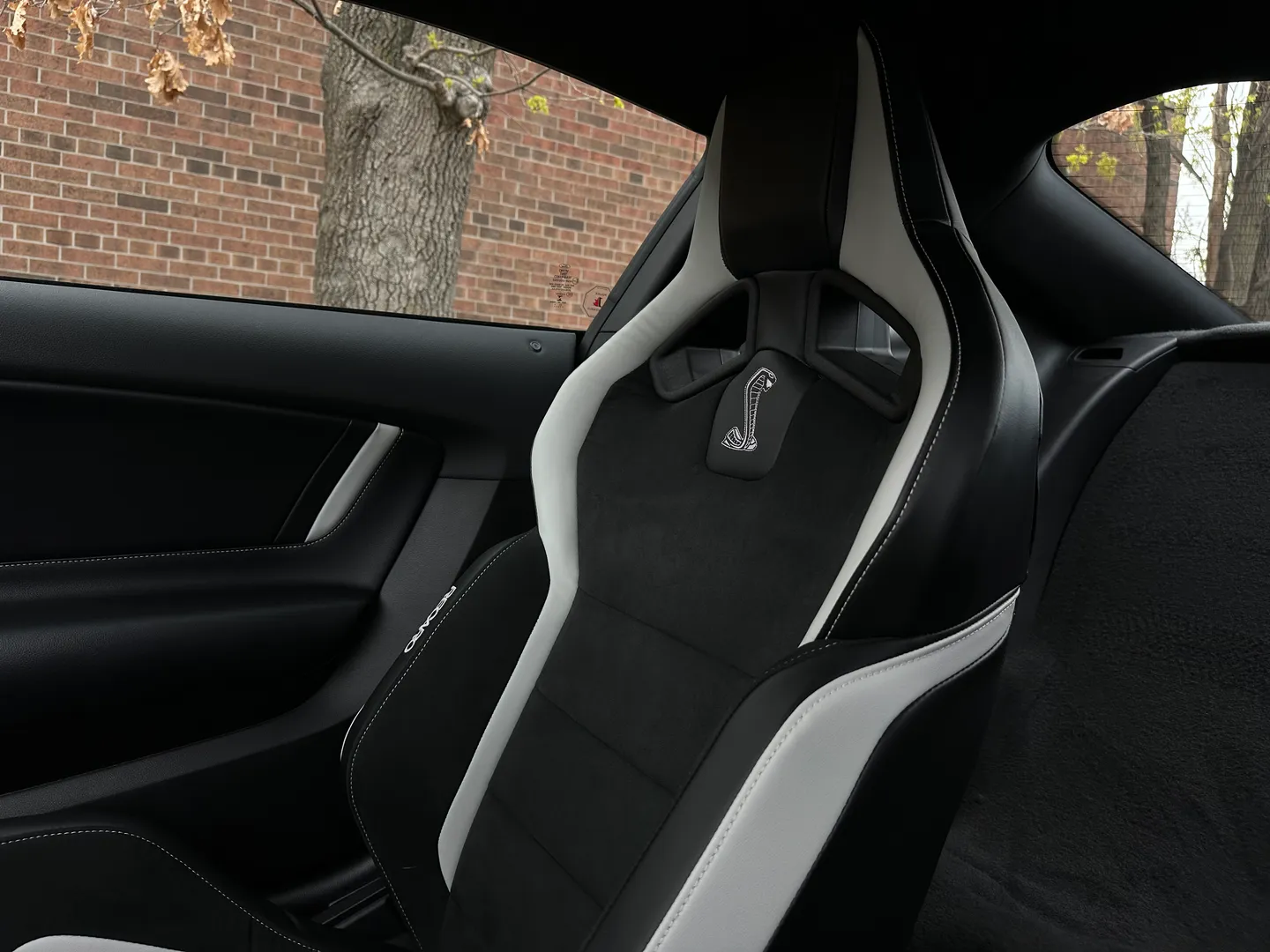 Ford Mustang Shelby GT500 Carbon Track Package — photo 85
