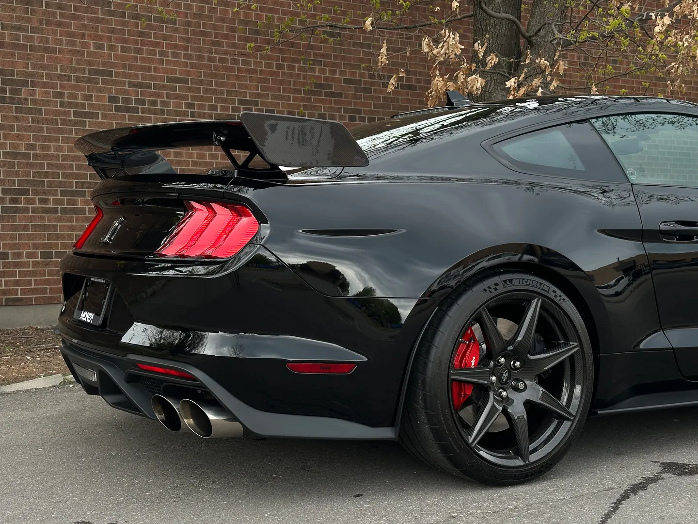 Ford Mustang Shelby GT500 Carbon Track Package — photo 109
