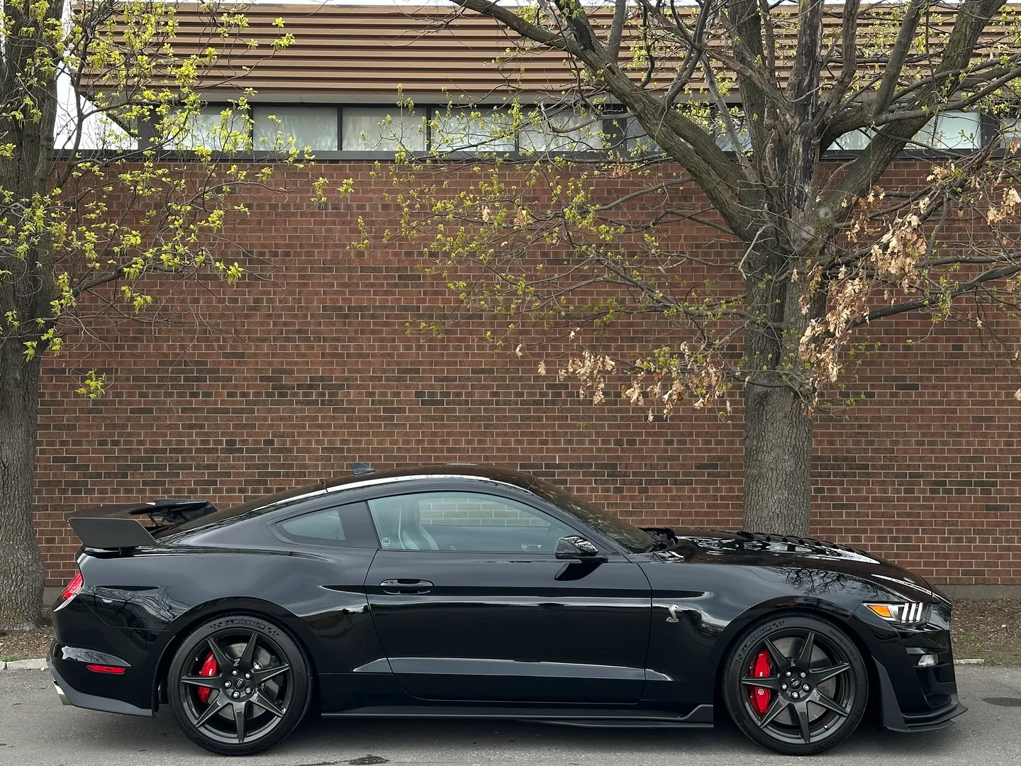 Ford Mustang Shelby GT500 Carbon Track Package — photo 110