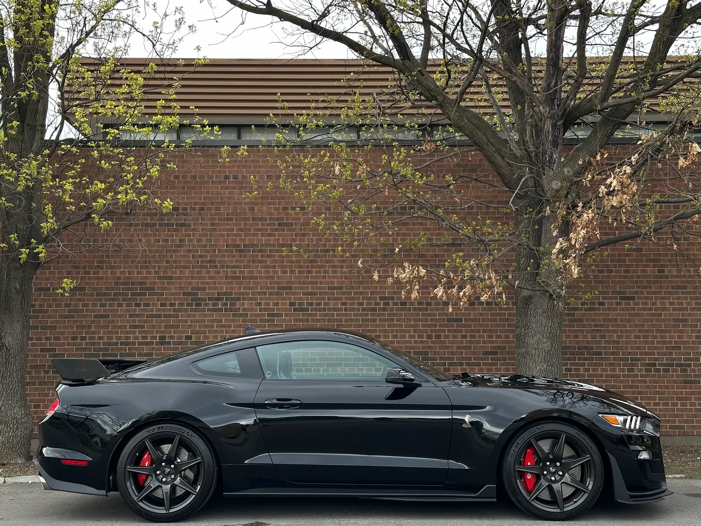 Ford Mustang Shelby GT500 Carbon Track Package — photo 111