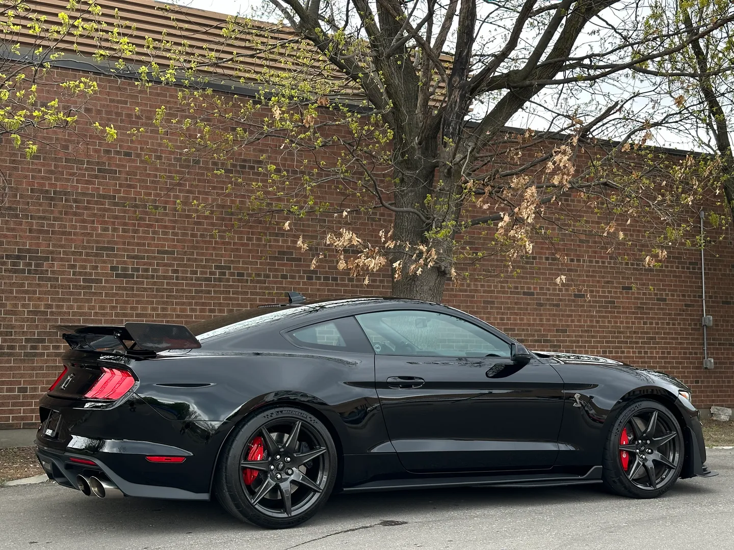 Ford Mustang Shelby GT500 Carbon Track Package — photo 108