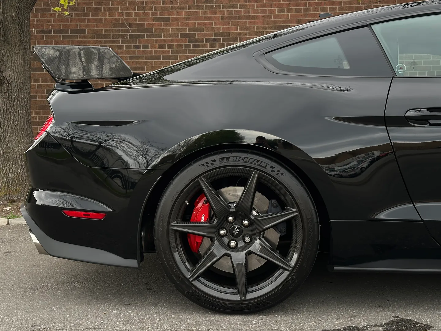 Ford Mustang Shelby GT500 Carbon Track Package — photo 112