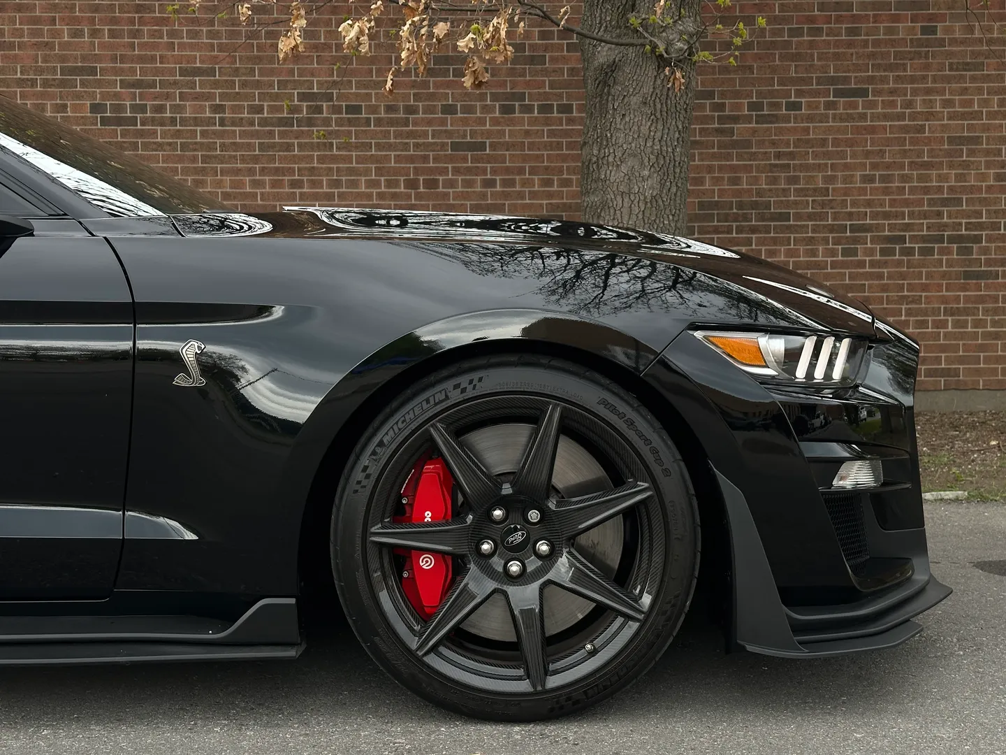 Ford Mustang Shelby GT500 Carbon Track Package — photo 113