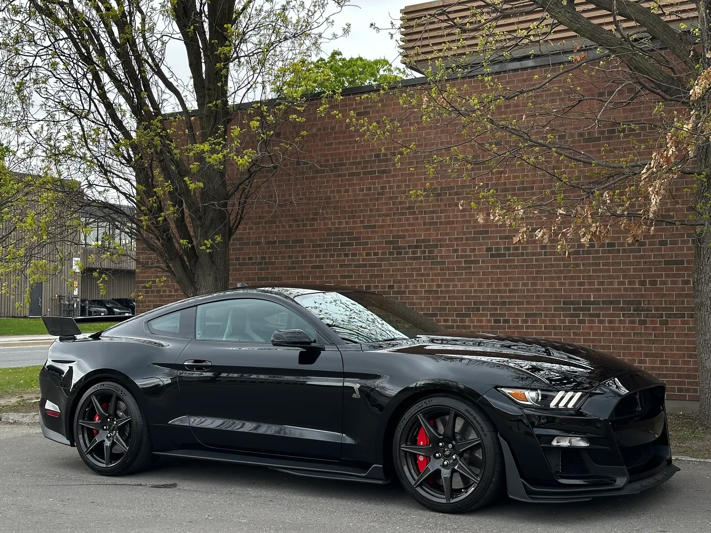 Ford Mustang Shelby GT500 Carbon Track Package — photo 114