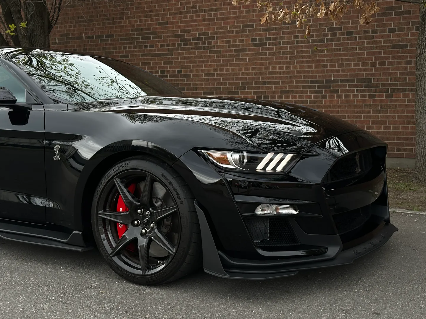 Ford Mustang Shelby GT500 Carbon Track Package — photo 115
