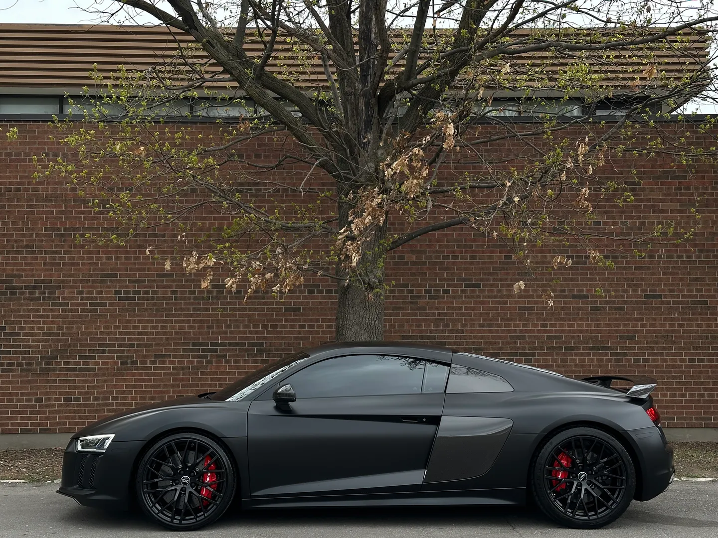 Audi R8 V10 Plus Quattro Coupe — photo 10
