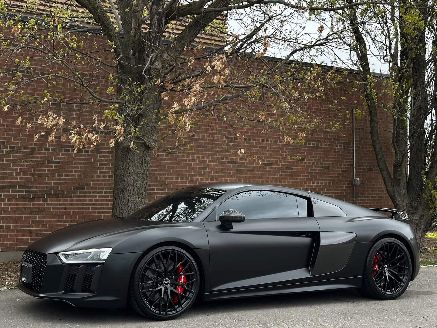 Audi R8 V10 Plus Quattro Coupe — photo 9