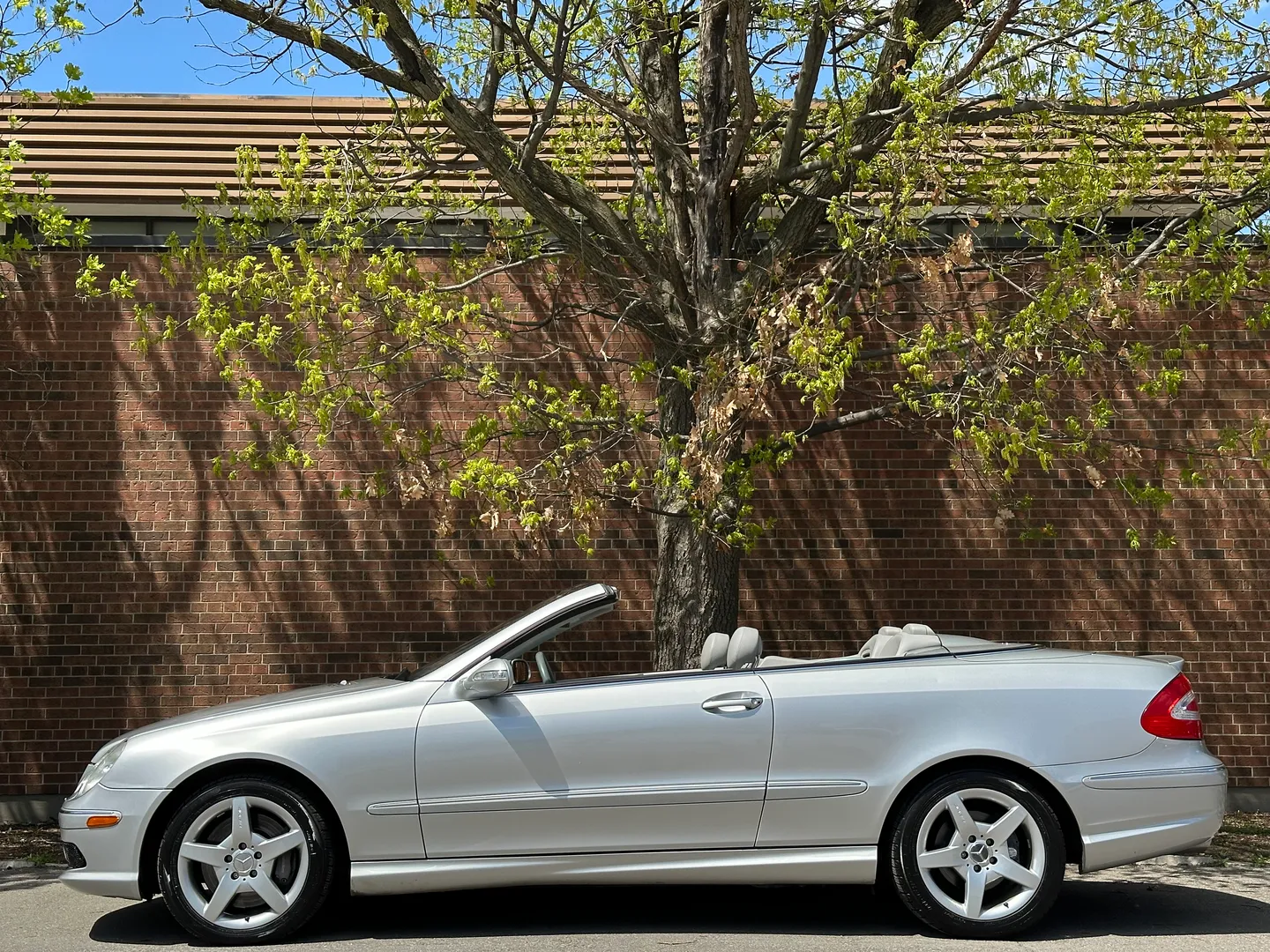 Mercedes Benz CLK 500 AMG Package Cabriolet — photo 12