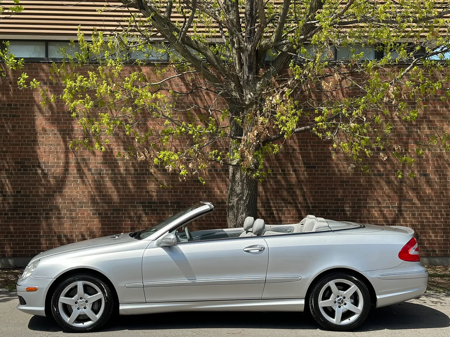 Mercedes Benz CLK 500 AMG Package Cabriolet — photo 11