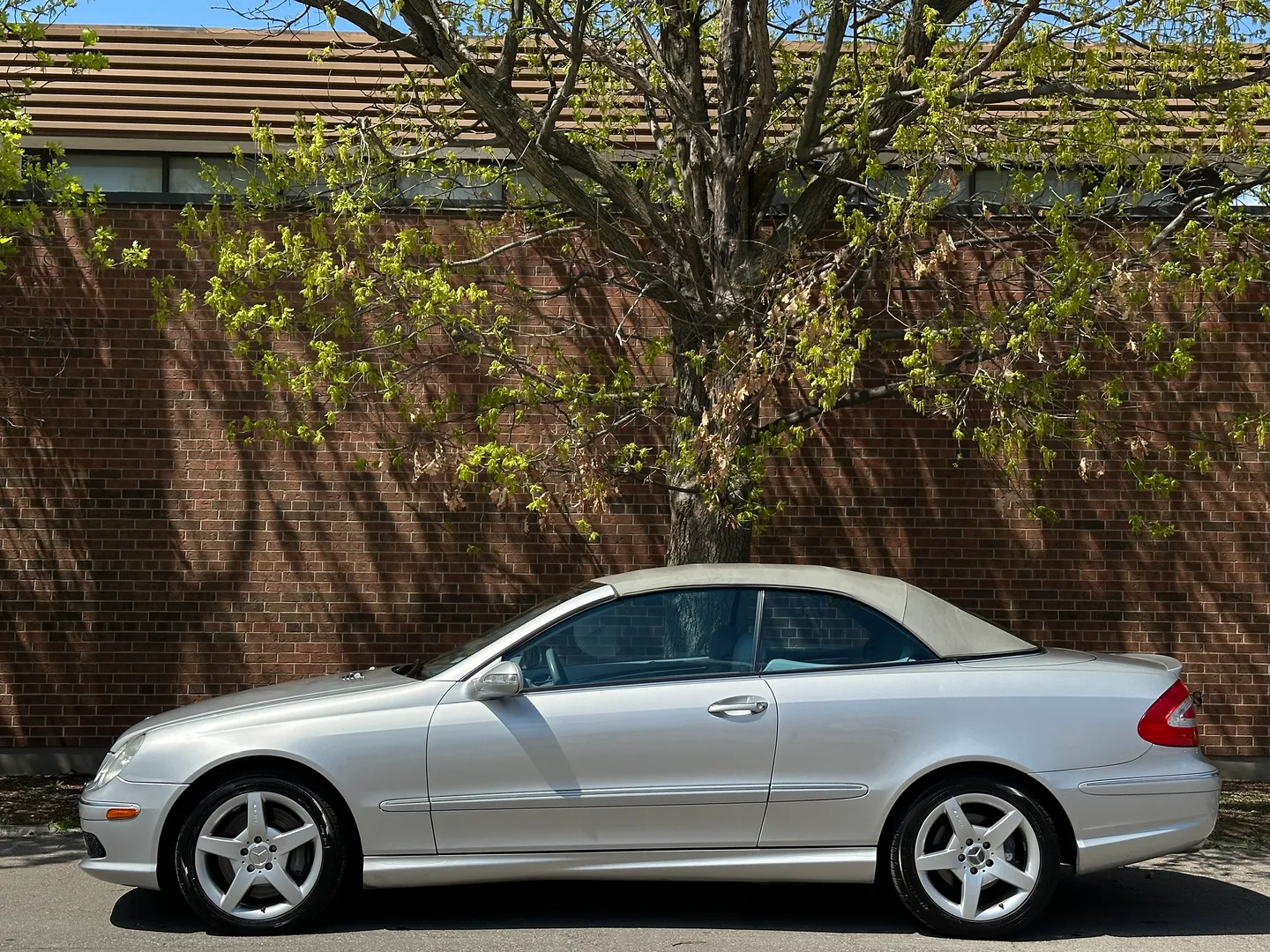 Mercedes Benz CLK 500 AMG Package Cabriolet — photo 36