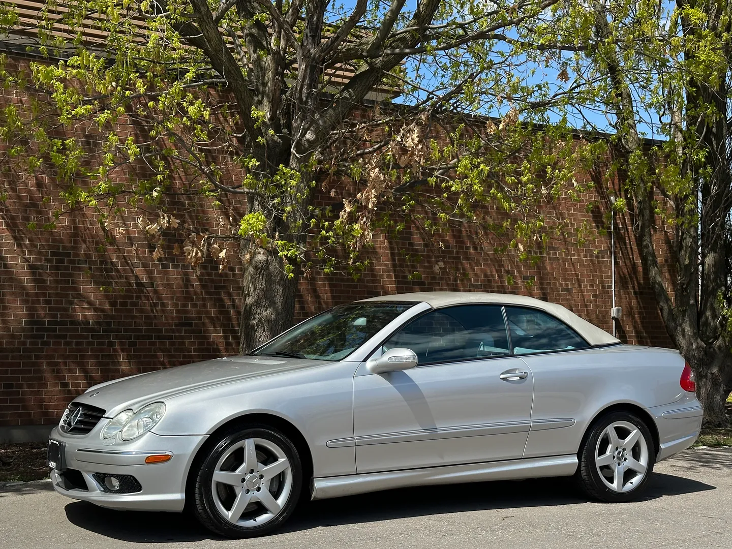 Mercedes Benz CLK 500 AMG Package Cabriolet — photo 35