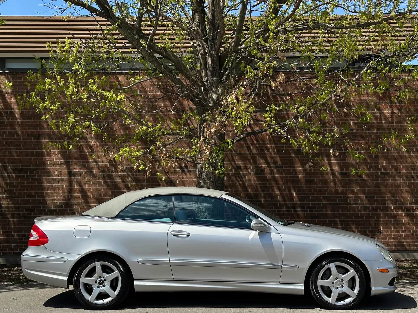 Mercedes Benz CLK 500 AMG Package Cabriolet — photo 74