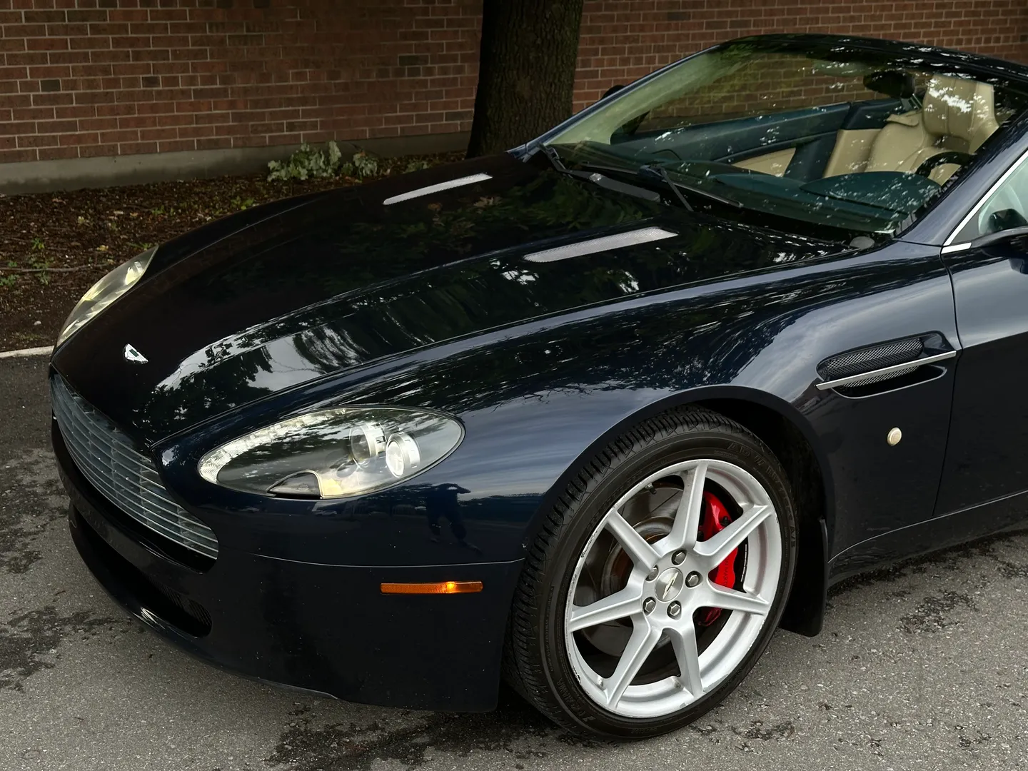 Aston Martin V8 Vantage Roadster — photo 5