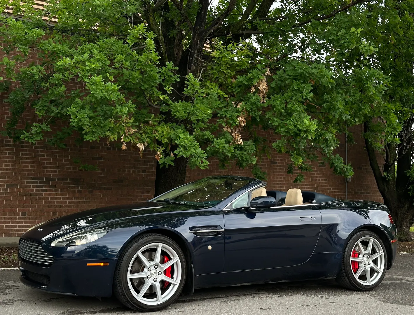 Aston Martin V8 Vantage Roadster — photo 8