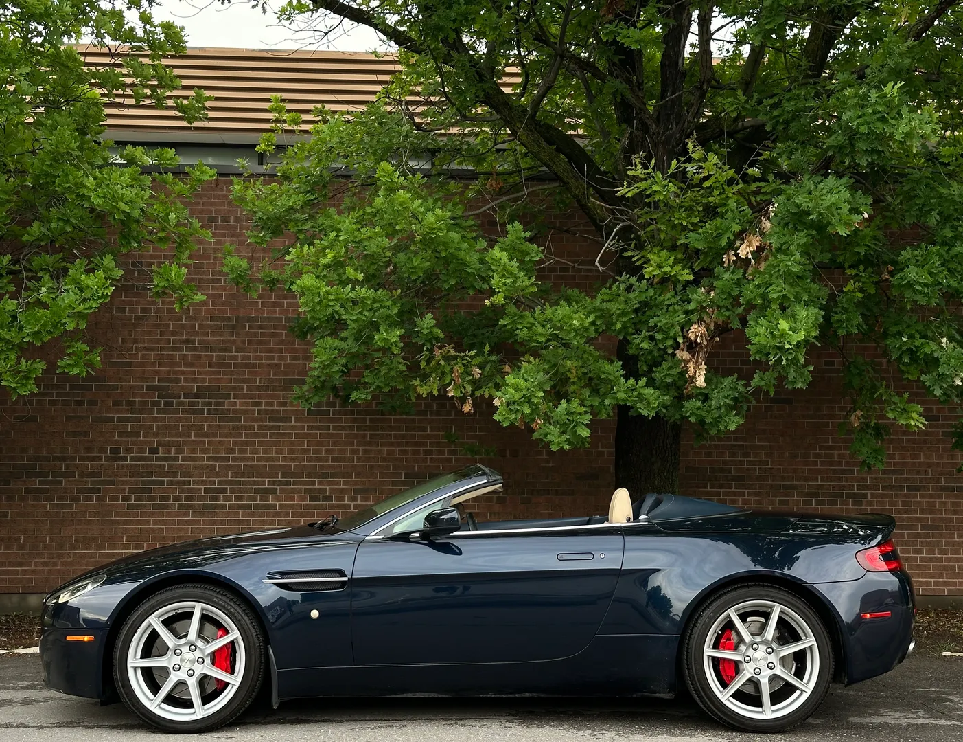 Aston Martin V8 Vantage Roadster — photo 10