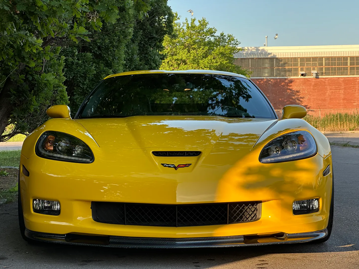 Chevrolet Corvette Z06 — photo 6