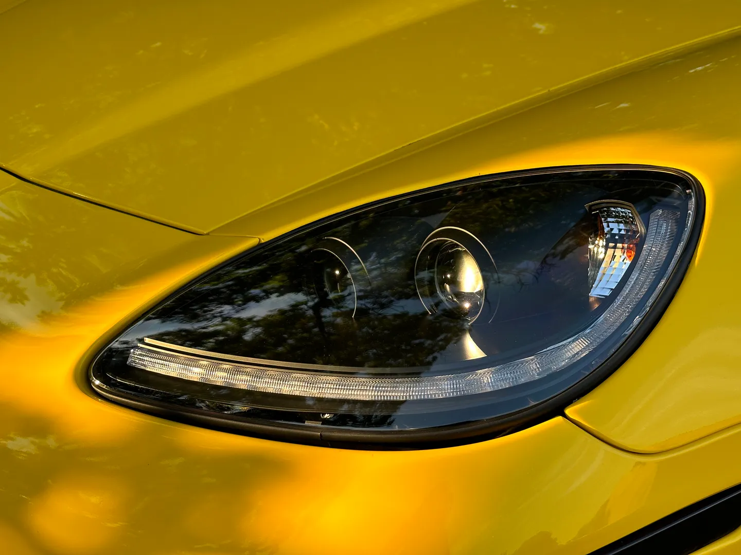 Chevrolet Corvette Z06 — photo 8