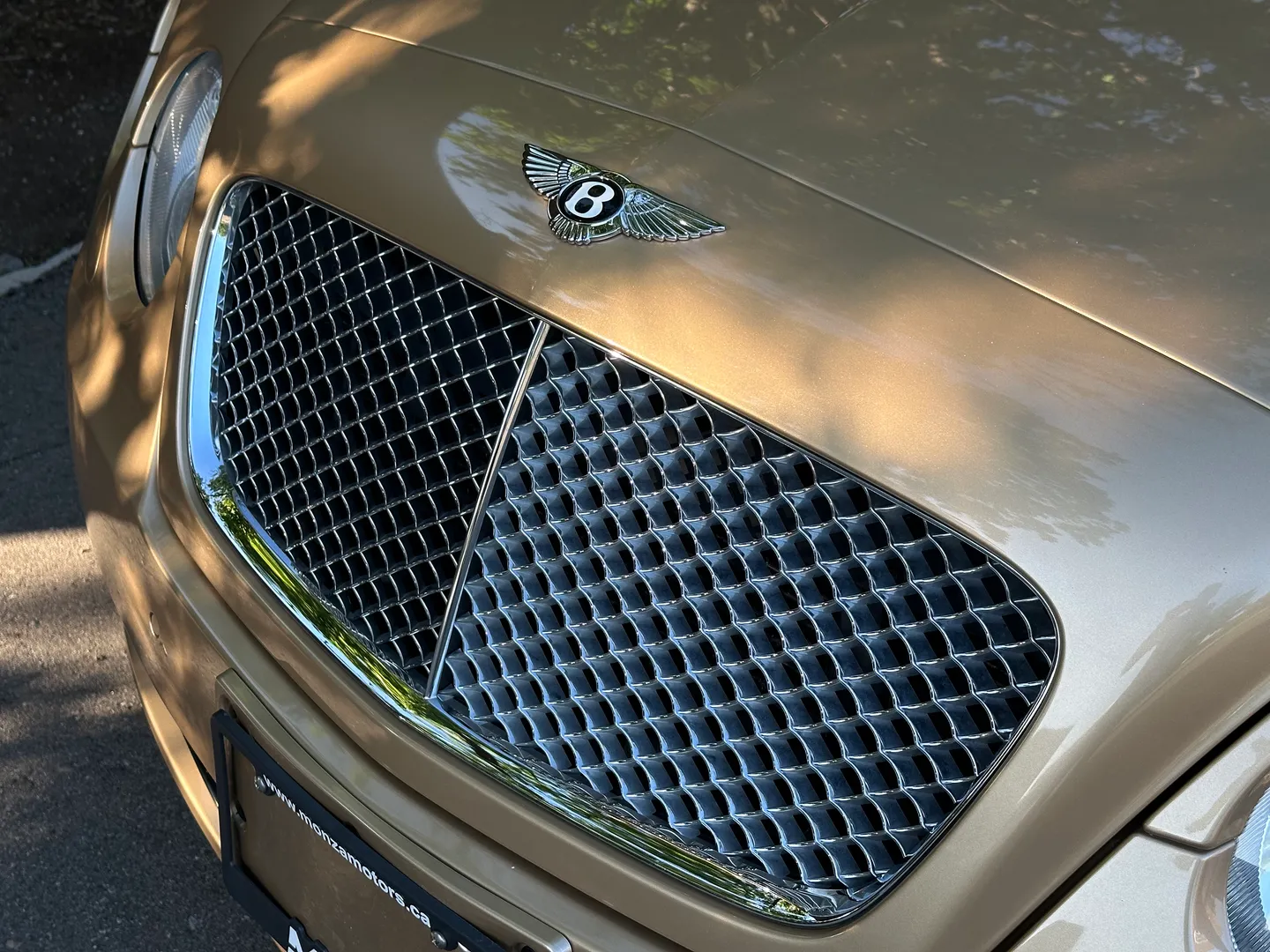 Bentley Continental Flying Spur — photo 6