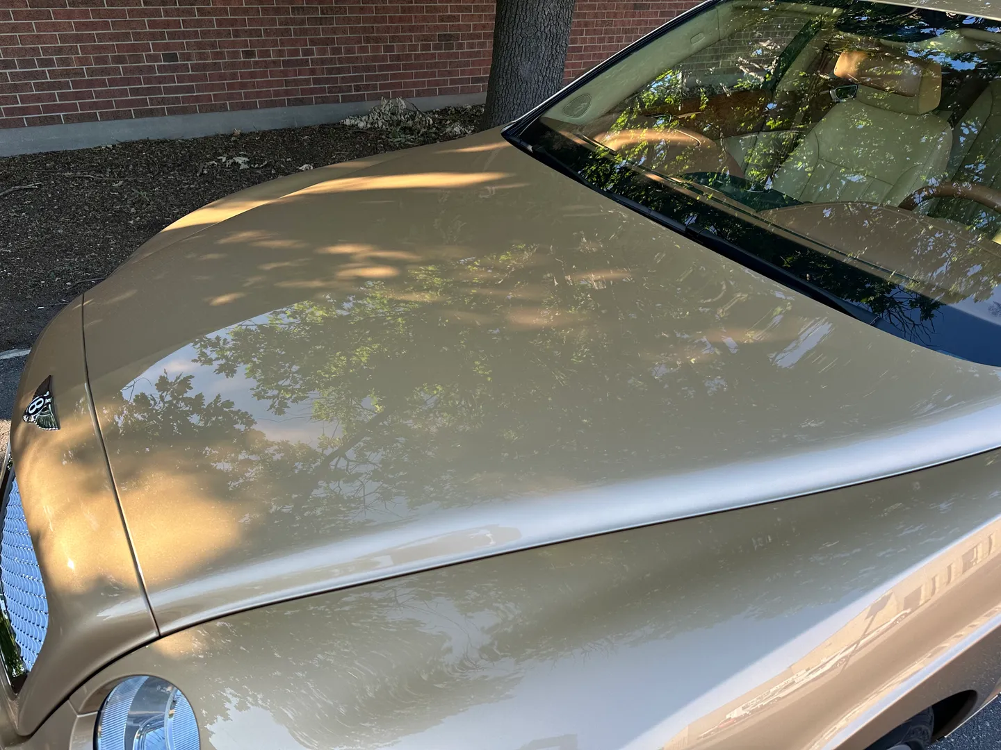 Bentley Continental Flying Spur — photo 16