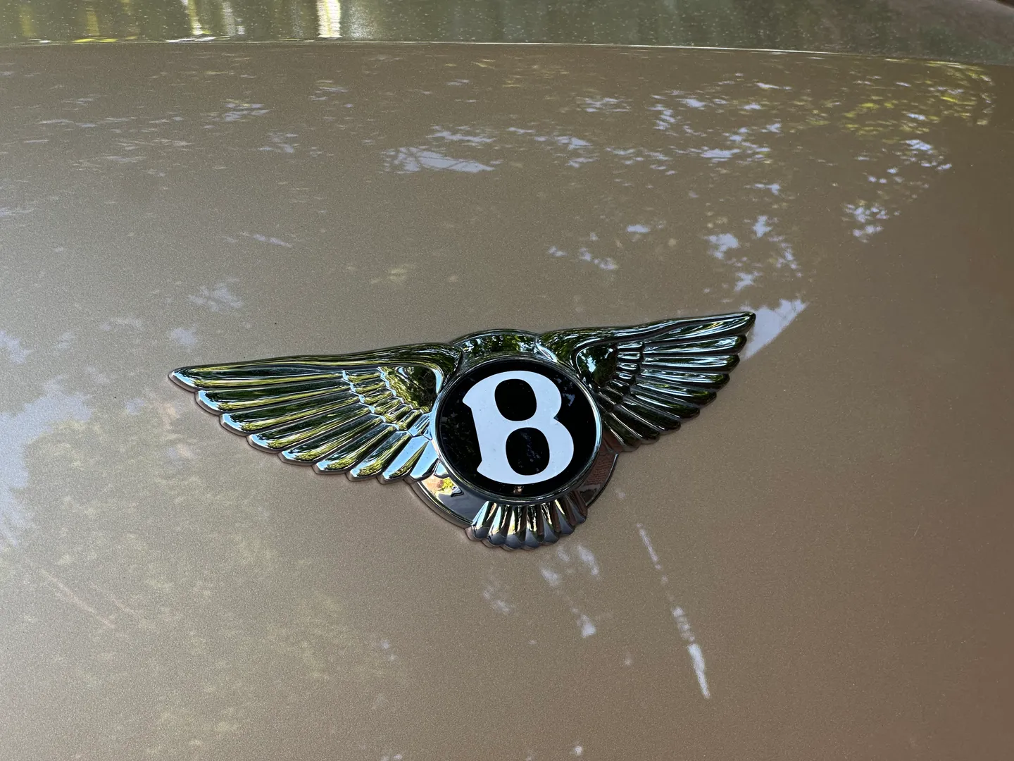 Bentley Continental Flying Spur — photo 27