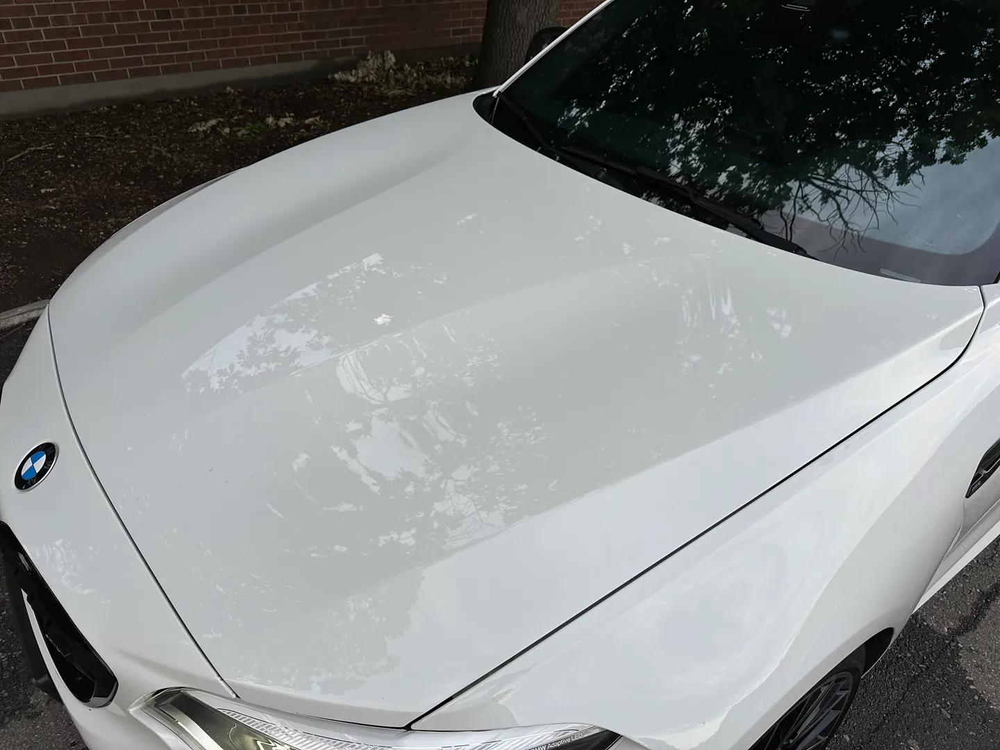 BMW M2 Competition DCT — photo 17
