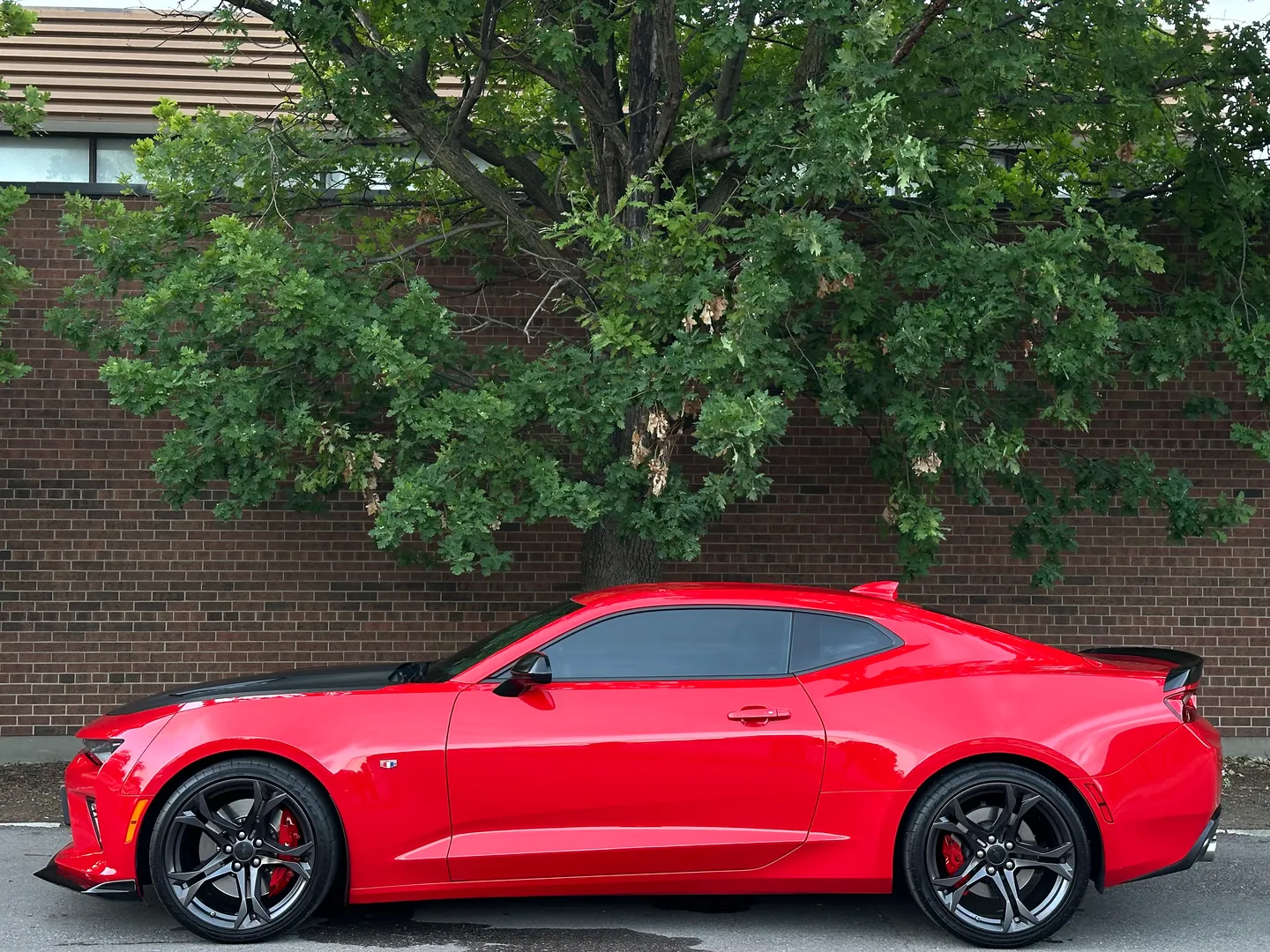 Chevrolet Camaro SS 1LE Performance Package 6 Speed Manual — photo 10