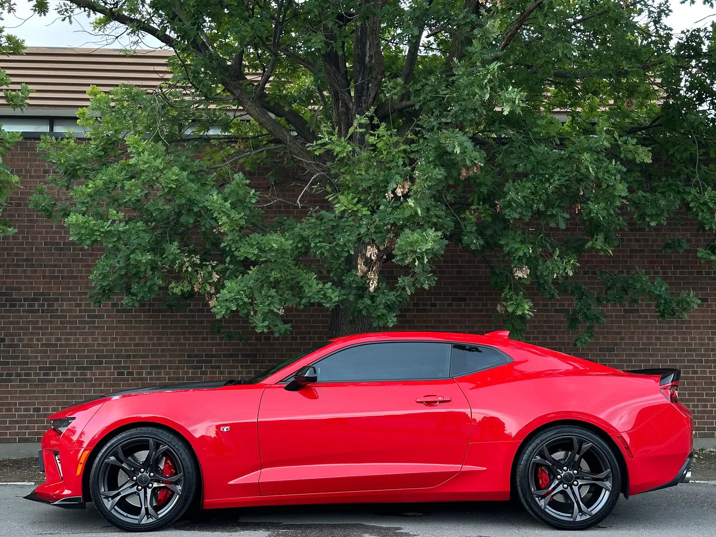Chevrolet Camaro SS 1LE Performance Package 6 Speed Manual — photo 11