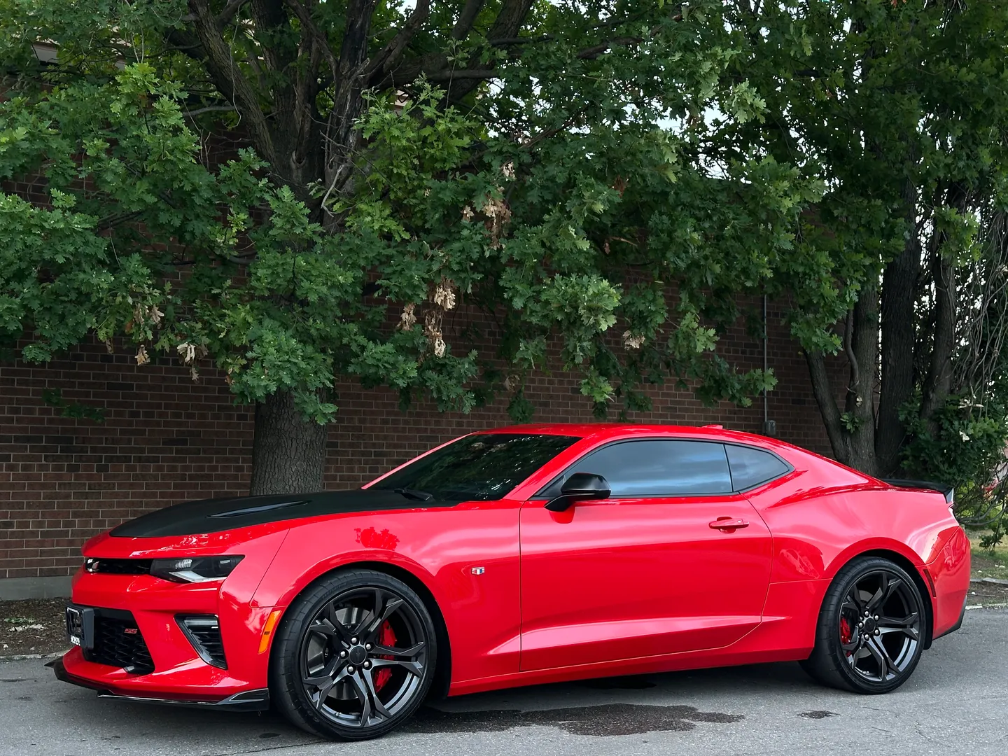 Chevrolet Camaro SS 1LE Performance Package 6 Speed Manual — photo 9