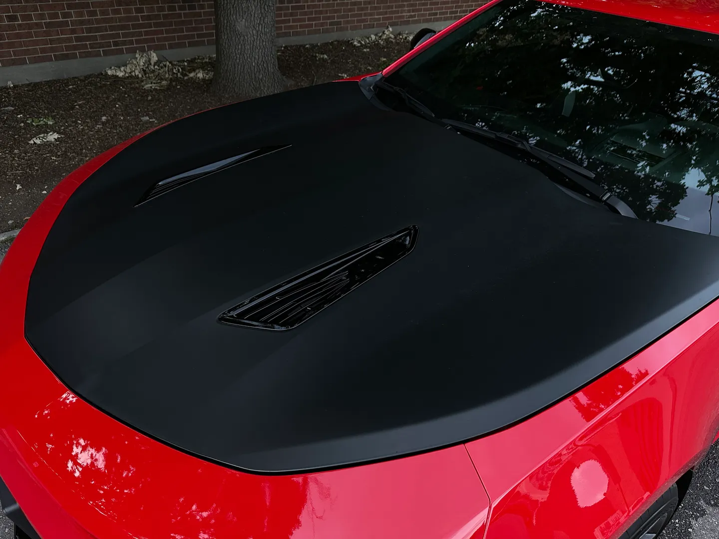 Chevrolet Camaro SS 1LE Performance Package 6 Speed Manual — photo 18