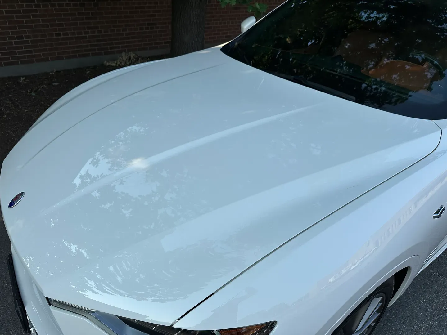 Maserati Levante Grand Lusso S — photo 17