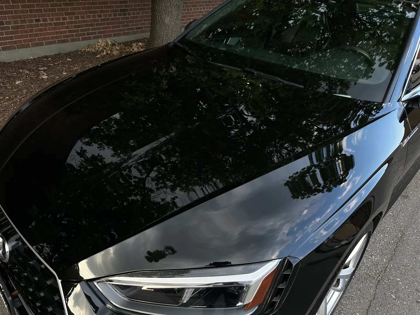 Audi RS5 Coupe — photo 13