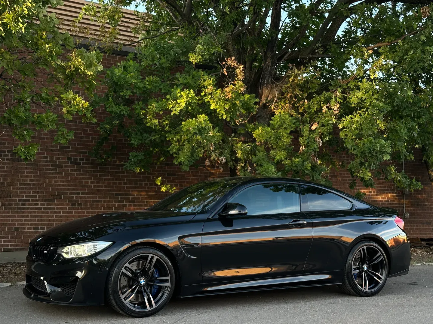BMW M4 Coupe Dinan Stage 1 Power Kit  — photo 9