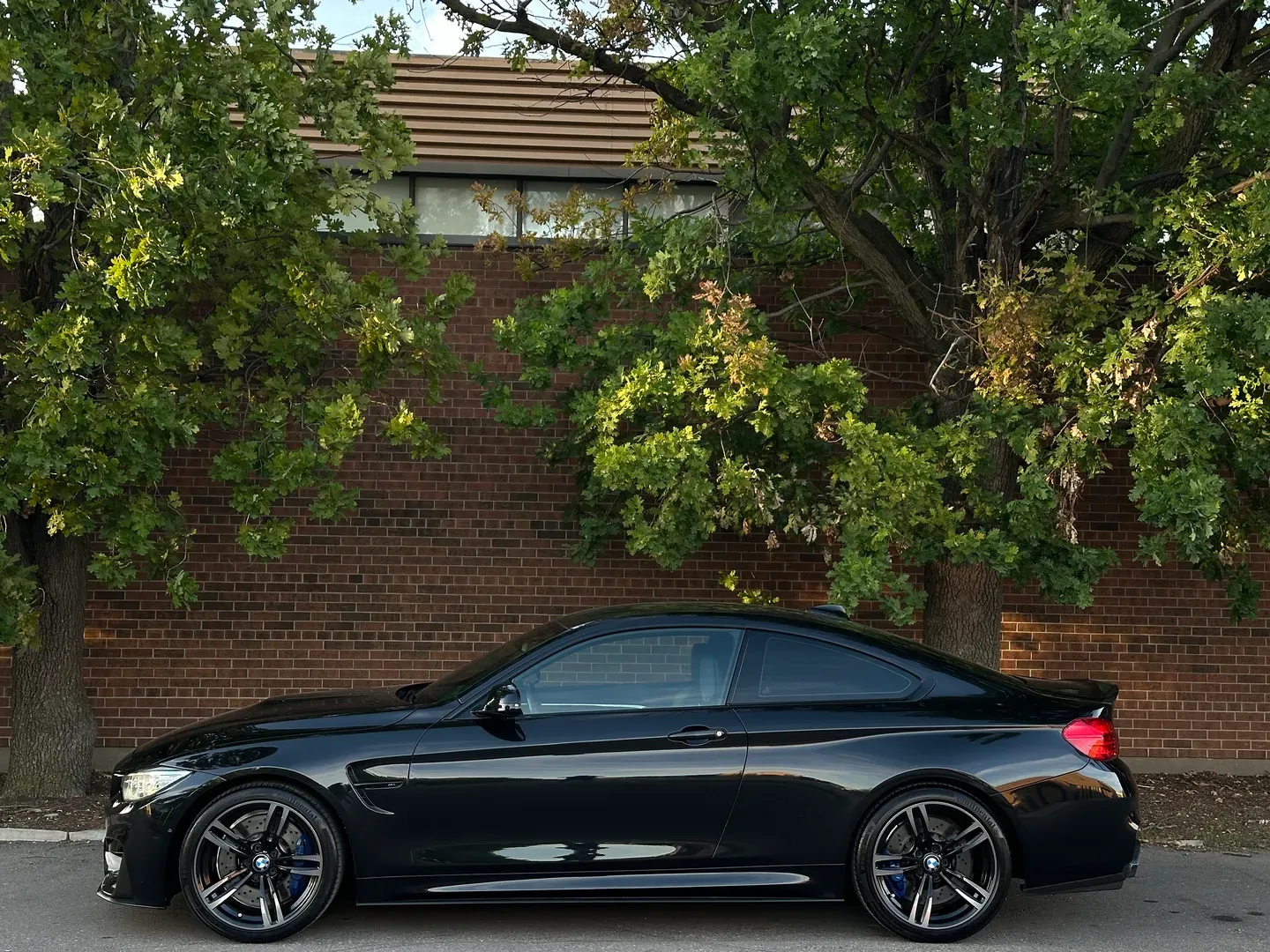 BMW M4 Coupe Dinan Stage 1 Power Kit  — photo 10