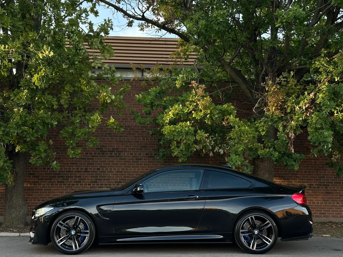 BMW M4 Coupe Dinan Stage 1 Power Kit  — photo 11
